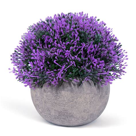 Buy Mintime Small Fake Potted Plant For Bathroomhome Decor The Bloom
