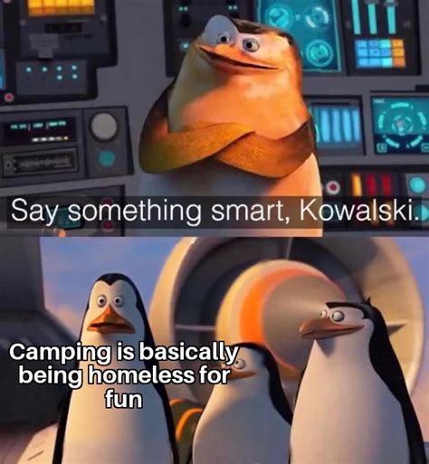 last day of kowalski memes meme