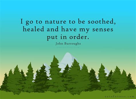 54 Profound Quotes On The Healing Power Of Nature