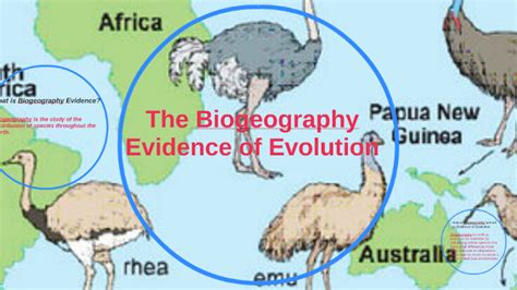 Biogeographical Evidence Of Evolution