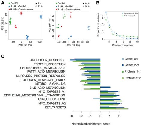 Cancers Free Full Text Comparative Proteomic And Transcriptomic