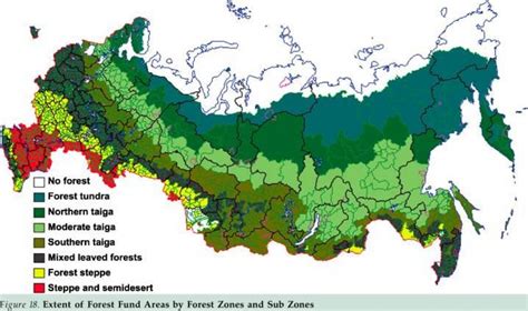 Russia Foreste Mappa Forestale Russo Mappa Europa Dellest Europa