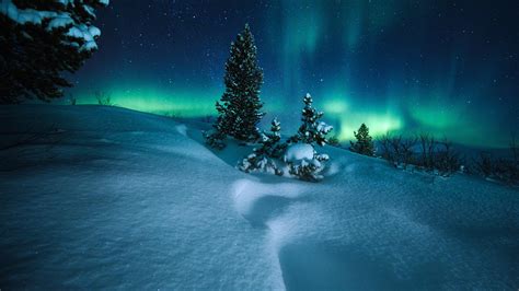 2560x1440 Northern Lights Arctic Circle Norway 1440P Resolution HD 4k ...