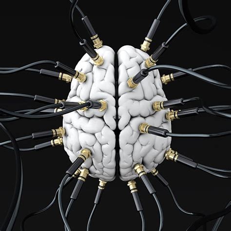 How Your Brain Is Wired Reveals The Real You Scientific American
