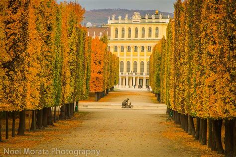 Vienna Highlights A Fall Garden Tour At Schonbrunn Travel Photo