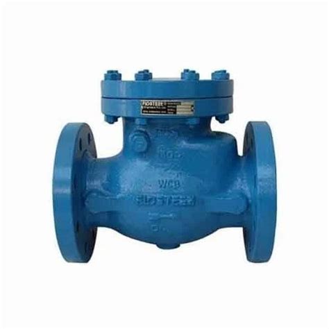 Non Return Valve At Best Price In Bengaluru By Pro Delta Fire Safety