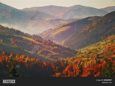 Autumn Mountain Forest Image And Photo Free Trial Bigstock
