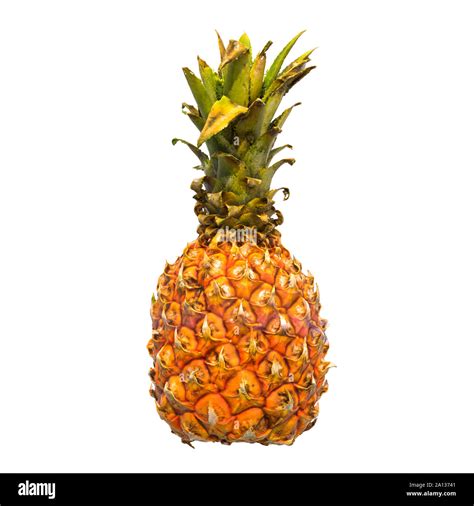 Mini Pineapple Close Up 3d Rendering With Realistic Texture Isolated On