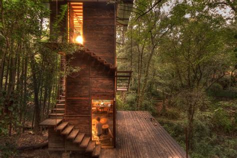 Modern Home In The Forest Reinterprets The Treehouse Curbed