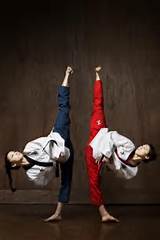 Is Taekwondo Karate Images