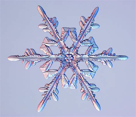 How Snowflakes Form New Video Explains Live Science
