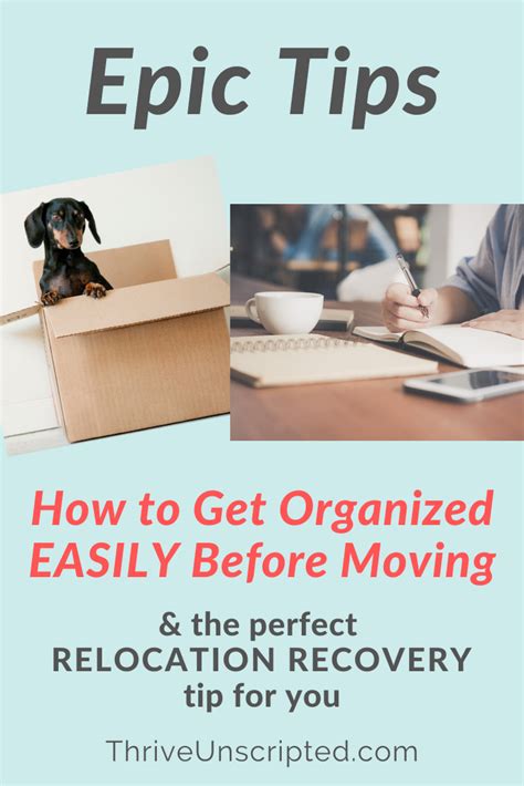 Organizing To Move Key Tips Thrive Unscripted Moving Tips Moving