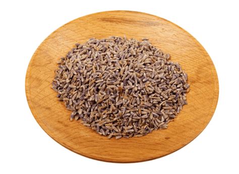 How To Harvest Lavender Seeds Crafting Her Blooms