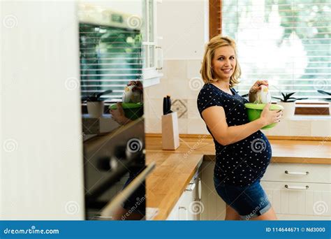 Pregnant Woman Working In Kitchen Stock Image Image Of Girl Home 114644671