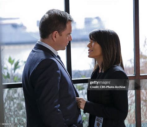 no good deed dinozzo is partnered with his girlfriend atf news photo getty images