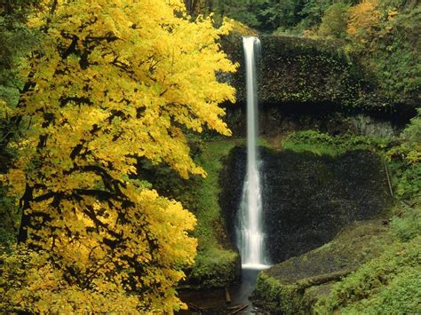 Wallpaper Flow Waterfall Autumn River Waterfall Beautiful Waterfalls