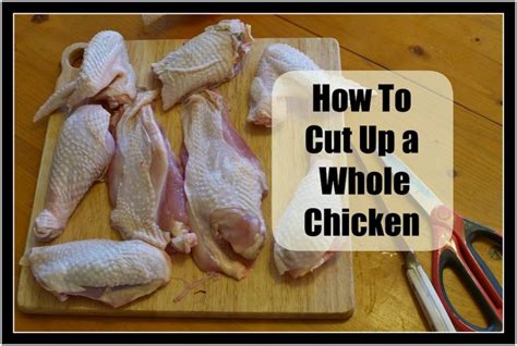 Save money when you buy a whole chicken and cut it up into pieces. Pin on Homestead Chickens