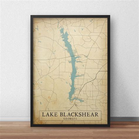 Vintage Style Map Of Lake Blackshear Georgia Usa Instant Etsy