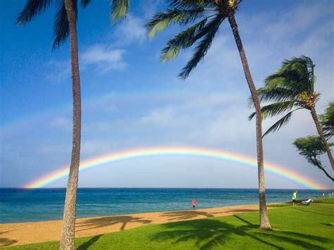 Aloha from Maui :: Behance