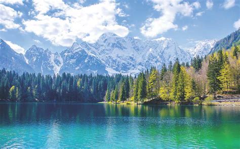 Find over 100+ of the best free beautiful nature images. Nature wallpaper for walls | Nature wallcovering | Nature ...
