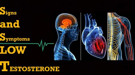 Signs And Symptoms Of Low Testosterone You Shouldnt Ignore