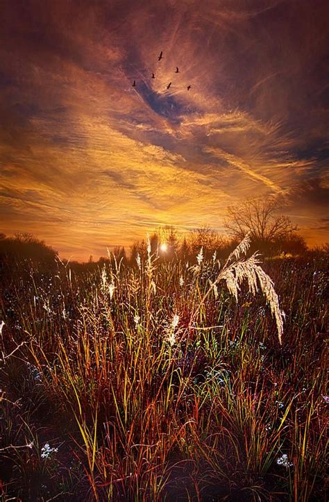 A Journey Through Time By Phil Koch Sunset Photography Winter