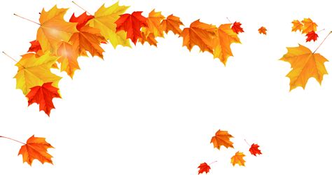 Maple Leaf Autumn Beautiful Golden Maple Leaves Falling Png Download