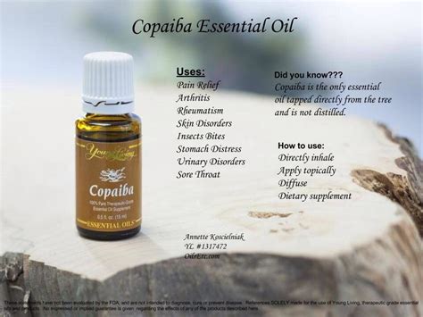 Copaiba has been used for various purposes in areas where it grows natively since at least the 16th century. Pin on Beauty Recipes