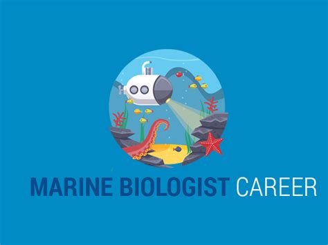 Marine Biologist Career What Do Marine Biologists Do