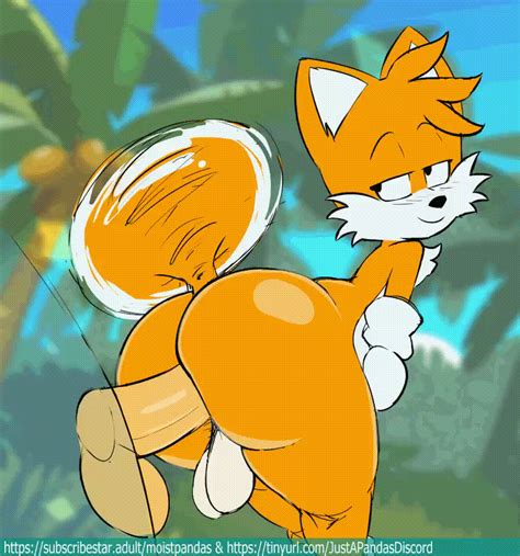 Post Kingofacesx Sonic The Hedgehog Series Tails Animated