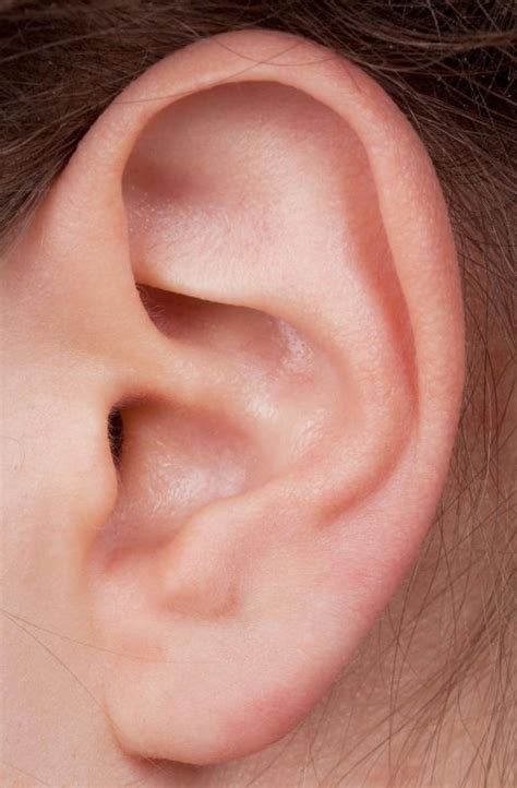 What Causes Tingling Ears With Pictures