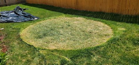 This Is What My Lawn Looks Like After I Packed Away My Pool R