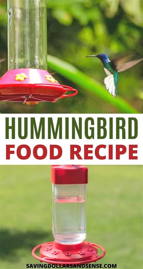 Easy Hummingbird Food Recipe Hummingbird Food Homemade Hummingbird
