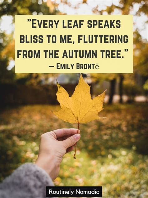 Perfect Falling Leaves Quotes To Bring In Autumn Routinely Nomadic