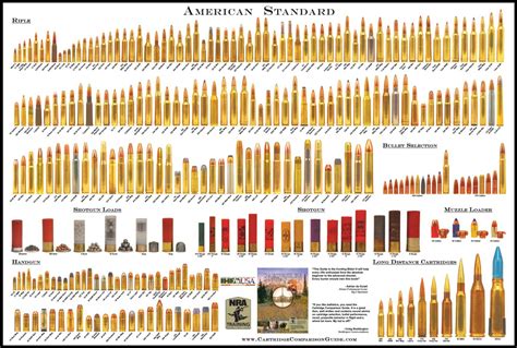 20 Gauge Buckshot Size Chart 20 Gauge Ammo 20 Gauge Shotgun Shells 20