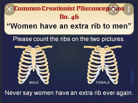 Does A Man Have One More Rib Than A Woman