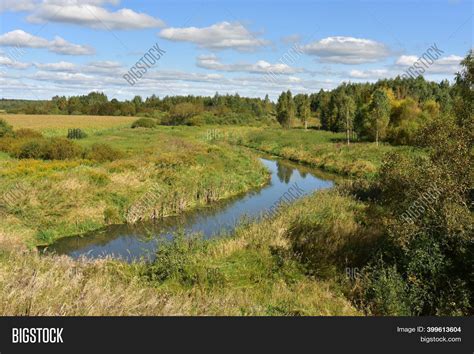 Small River Forest Image And Photo Free Trial Bigstock