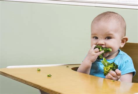 Can 6 Month Old Eat Broccoli Broccoli Walls