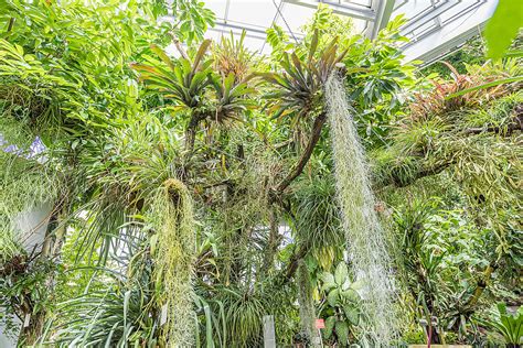 Die besten tipps für einen romantischen valentinstag. Tübingen - Botanische Gärten in Tübingen