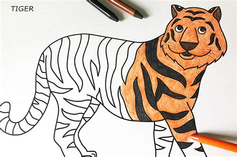 tiger  printable templates coloring pages firstpalettecom