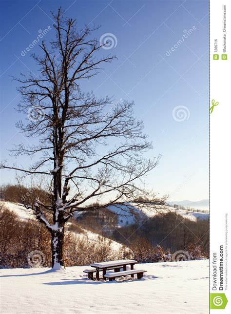 Winter Peaceful Snowy Place Stock Photo Image Of Peace Weather 7386716