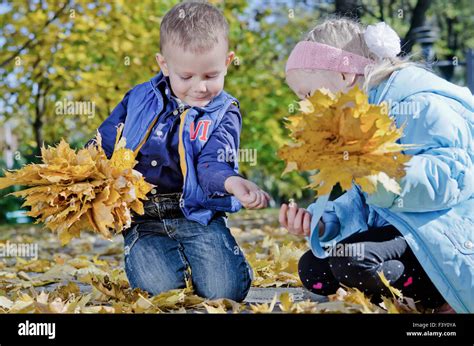 Children Collecting Yellow Fall Leaves Stock Photo Alamy