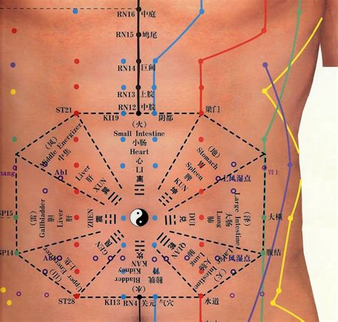 Abdominal Acupuncture Chart Tcm Traditional Chinese Medicine