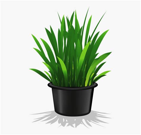 Plant Clipart House Plants That Never Die Indoor Plant