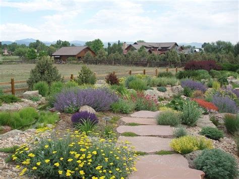 Image Result For Xeriscape Yard With Earth Mounds Xeriscape