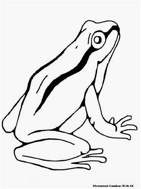 26 gambar mewarnai terbaru untuk anak tk paud sd tayo sumber sketsa kupu kupu yang indah. Mewarnai Gambar Katak | Mewarnai Gambar