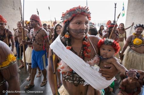 ”our Forest Is Shedding Tears” — A Munduruku Woman Fights For Indigenous Rights Greenpeace Suomi