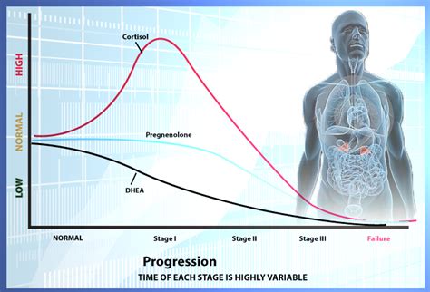 Healthy Adrenal Rhythm Test - DrJockers.com