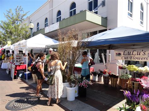 Five Reasons I Love Living In Sarasota, FL!