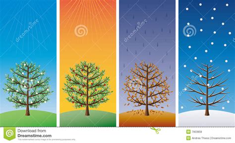 Four Seasons - Trees Royalty Free Stock Photos - Image: 7903858